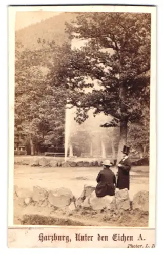 Fotografie Moser Senior, Berlin, U. d. Linden 44, Ansicht Harzburg, Unter den Eichen, Zwei Herren im Park