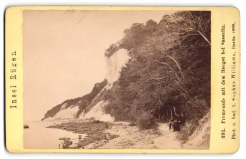 Fotografie Sophus Williams, Berlin, Ansicht Sassnitz /Rügen, Promenade mit dem Hengst