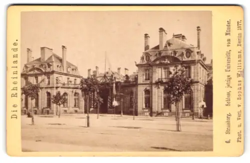 Fotografie Sophus Williams, Berlin, Ansicht Strassburg, Schloss, jetzige Universität, vom Münster gesehen