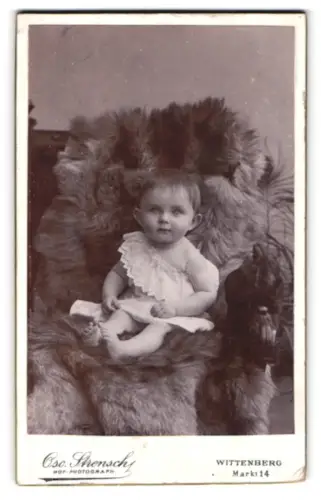 Fotografie Oskar Stensch, Wittenberg, Markt 14, Kleinkind auf Fellstuhl