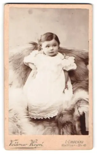 Fotografie Volkmar Högel, Leipzig-Lindenau, Wettiner-Str. 43, Porträt eines kleinen Kindes