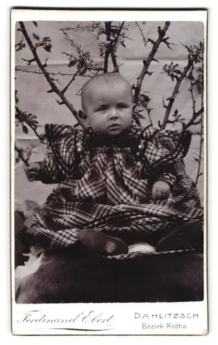 Fotografie Ferdinand Ebert, Dahlitzsch /Bezirk Rötha, Süsses Kleinkind im karierten Kleid