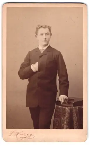 Fotografie L. Herzog, Bremen, Wall 160, Junger Herr im Anzug mit Krawatte