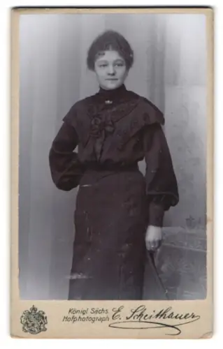 Fotografie E. Scheithauer, Zwickau, Innere Plauensche Str. 20, Junge Frau im dunklen Kleid