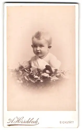 Fotografie A. Hirschbeck, Eichstätt, Ostenvorstadt 26, Porträt eines Kleinkinds