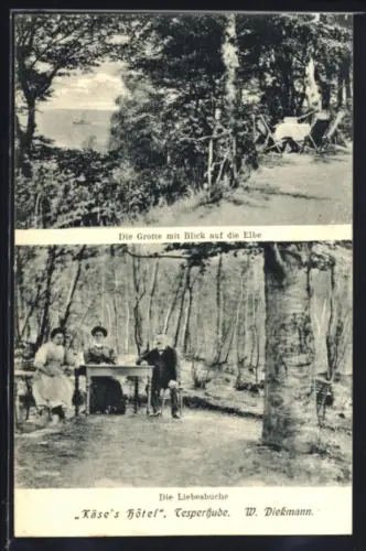 AK Tesperhude, Käse`s Hotel W. Diekmann, Grotte mit Blick auf die Elbe, Liebesbuche