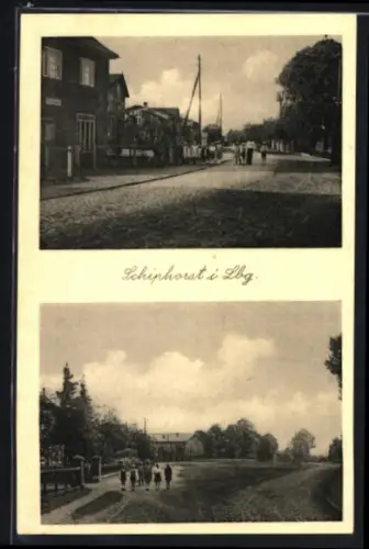 AK Schiphorst i. Lbg., Strassenansichten, Panorama