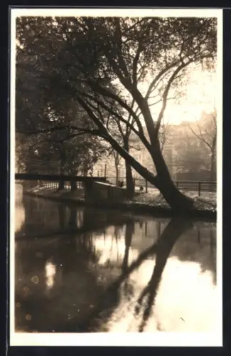 Foto-AK Erfurt, Dämmchenpartie mit Blick auf Häuser