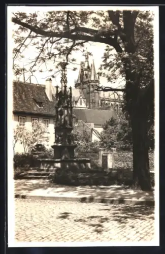 Foto-AK Erfurt, Am Hermannplatz, mit Denkmal u. Dom