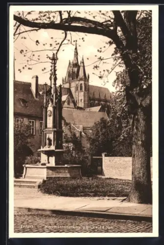 AK Erfurt, Hermannsdenkmal, Blick auf Dom