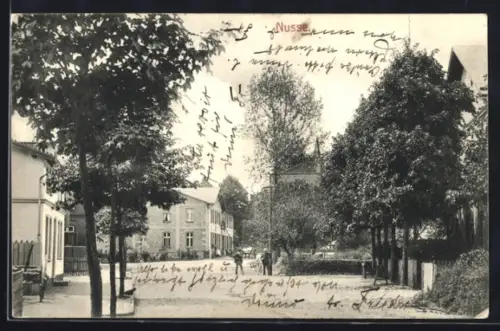 AK Nusse, Strassenpartie mit Häusern, Panorama