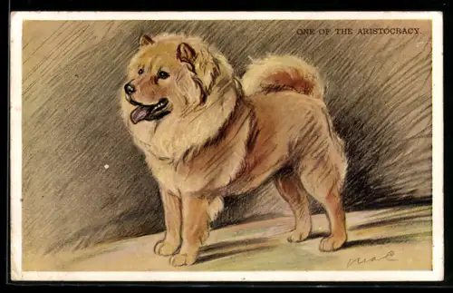 AK One of the Aristocracy, Spitz, Portrait