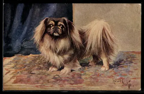 AK Pekinese auf einem Teppich, Portrait
