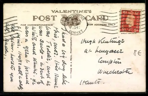 AK The Collie, Portrait