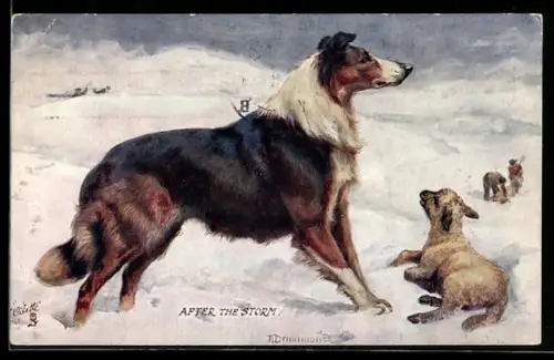 AK After the Storm, Collie und kleines Lamm im Schnee