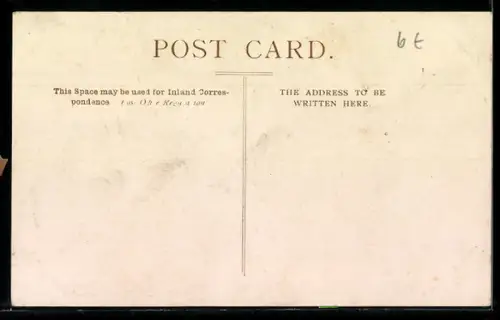 AK Yours to Command, Collie, Portrait