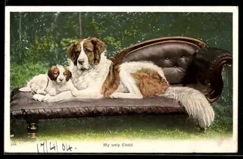 AK My only Child, Bernhardiner mit Welpe