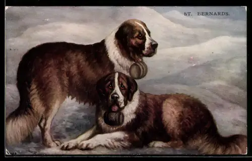 AK St. Bernards, Zwei Bernhardiner mit Fässern um den Hals im Schnee