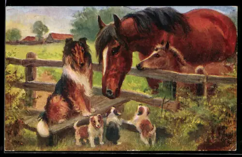 AK Colliemutter mit Welpen besucht Stute mit Fohlen