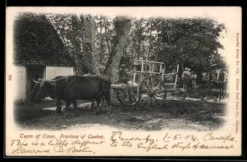 AK Province of Quebec, Team of Oxen