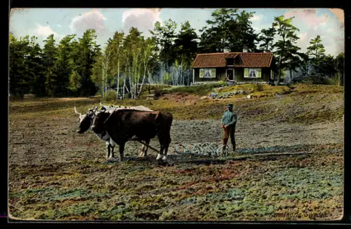 AK Bauer mit einem Ochsenpflug