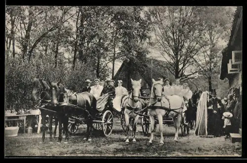 AK Lüneburger Heide, Ankunft des Hochzeitspaares, Brautjungfern, Pferdekutschen
