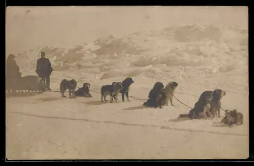 AK Schlittenhundemeute mit Schlitten im Schnee