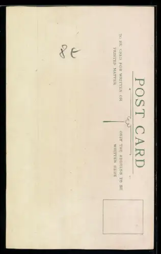 AK Zwei Collies, Portrait