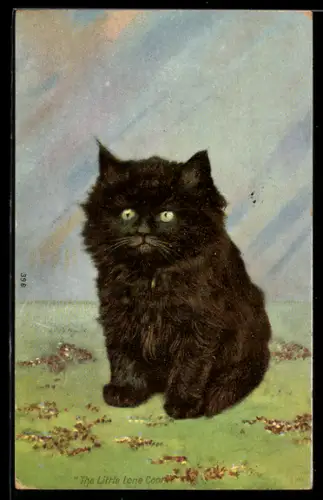 AK The Little Lone Coon, Portrait