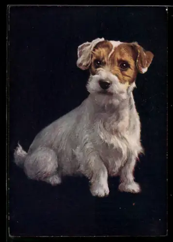 AK Sealyham Puppy, Portrait