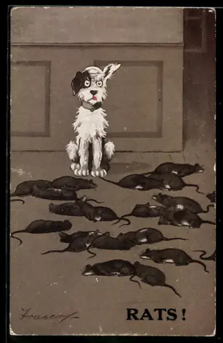 AK Terrier nach der erfolgreichen Rattenbekämpfung