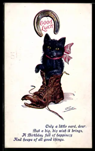 AK Katzenbaby im zerfledderten Wanderschuh, Hufeisen