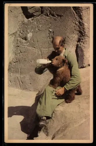 AK Stockholm, Skansen, Pfleger füttert Bärenjunges mit der Flasche