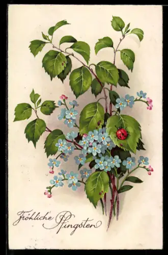 AK Marienkäfer auf einem Birkenblatt, Vergissmeinnicht, Pfingstgruss