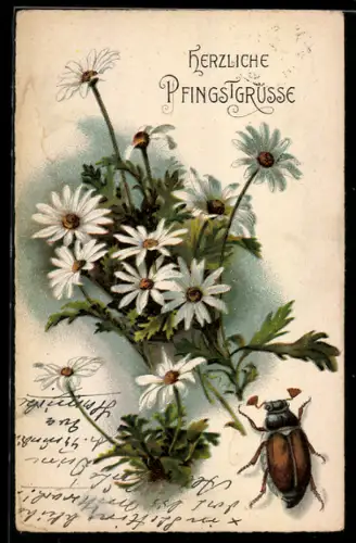 AK Maikäfer und Margeriten, Pfingstgruss
