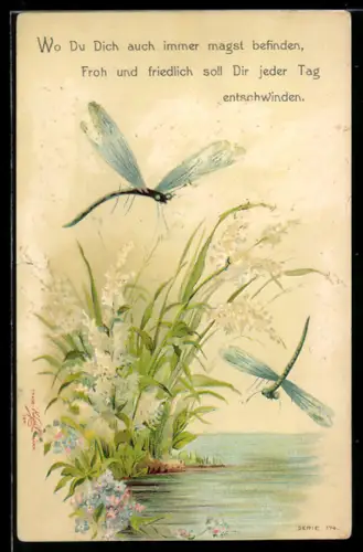 AK zwei Libellen fliegen am Ufer umher