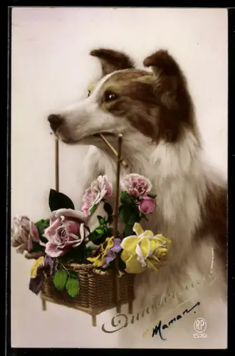 AK Collie mit Rosenkorb in der Schnauze
