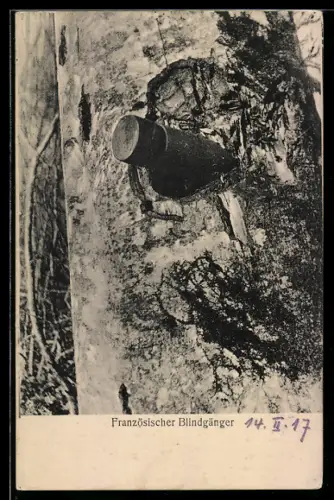 AK Französischer Blindgänger, Granate in Baumstamm