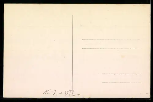 AK Rüdesheim, Zeppelin über der Stadt