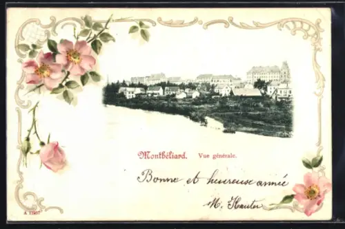 AK Montbéliard, Vue générale