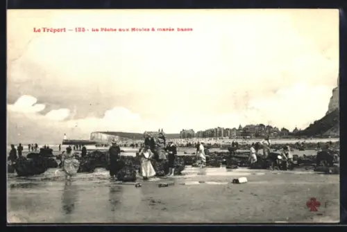 AK Le Tréport, La Pêche aux Moules à marée basse