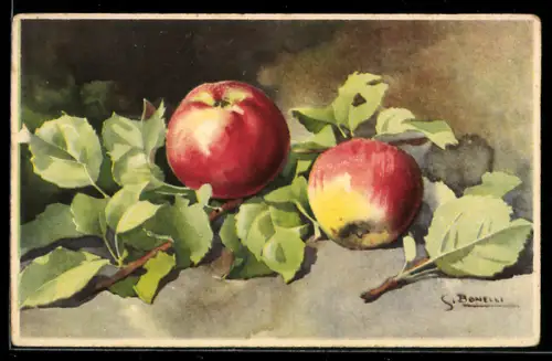 Künstler-AK S. Bonelli: Stillleben mit Äpfeln
