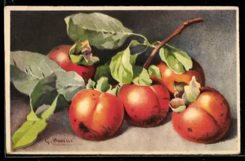 Künstler-AK S. Bonelli: Stillleben mit Aprikosen