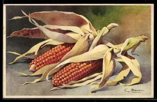 Künstler-AK S. Bonelli: Stillleben mit Maiskolben