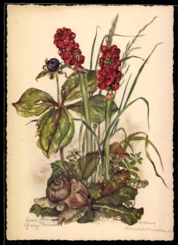 Künstler-AK Schwarz-Torino: Schnecke an einem Fruchtstand