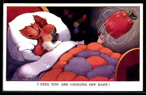 Künstler-AK George Ernest Studdy: Hund wirft seine Wärmflasche aus dem Bett