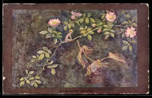 Künstler-AK S. Barham: Elfen erreichen den Jungen auf dem Blumenzweig, Wild Rose Fairies