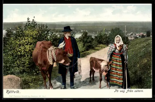 AK Rättvik, Schweden in Tracht mit Kühen