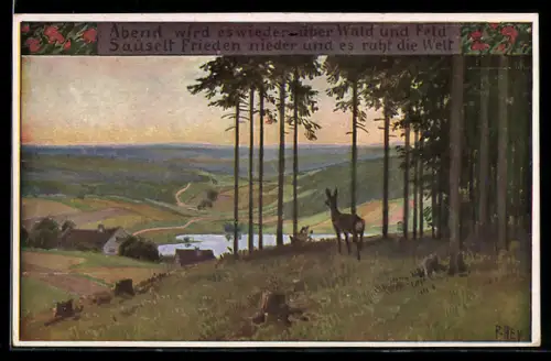 Künstler-AK P. Hey, Volksliederkarte Nr.: 65, Abend wird es wieder, Reh im Wald
