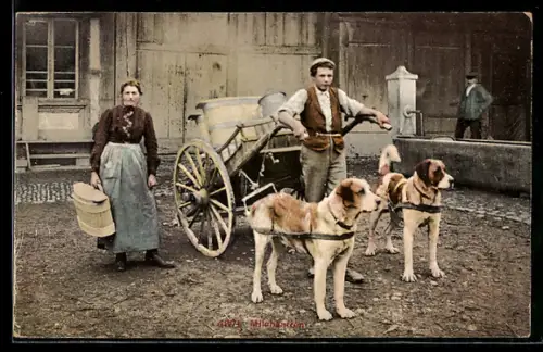 AK schweizer Milchkarre mit Hundegespann